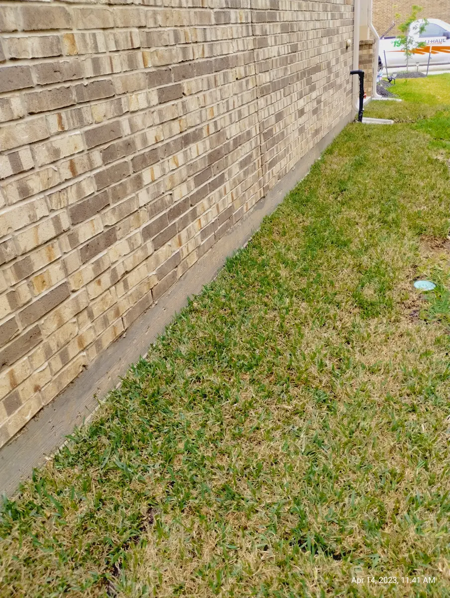 Side yard along a tan brick wall covered in new sod from the wall out to the lawn.