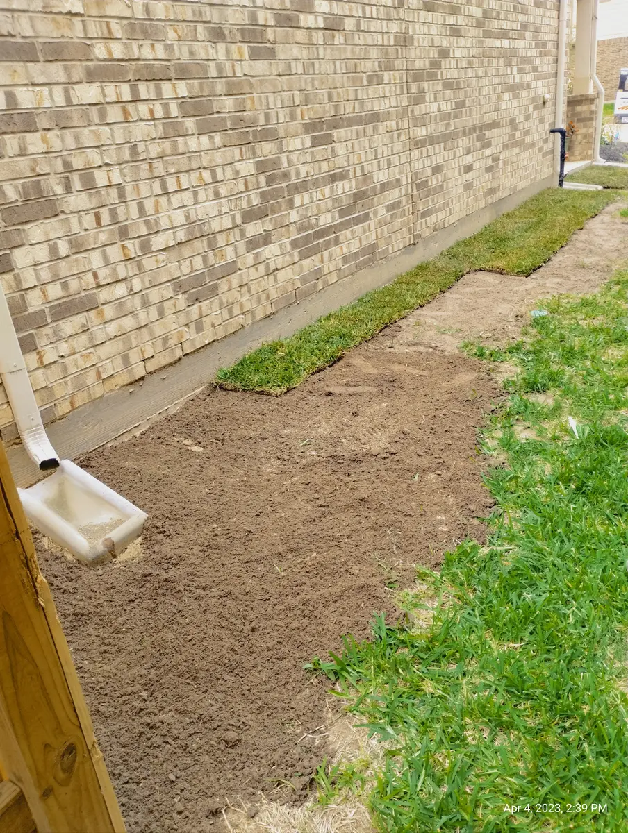 Narrow side yard along a tan brick wall: bare soil raked smooth for sod, with the first strip of sod laid against the foundation and existing grass to the right.